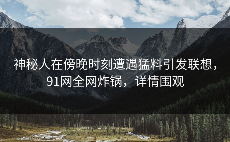 神秘人在傍晚时刻遭遇猛料引发联想，91网全网炸锅，详情围观