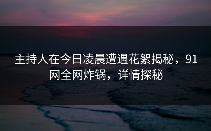 主持人在今日凌晨遭遇花絮揭秘，91网全网炸锅，详情探秘
