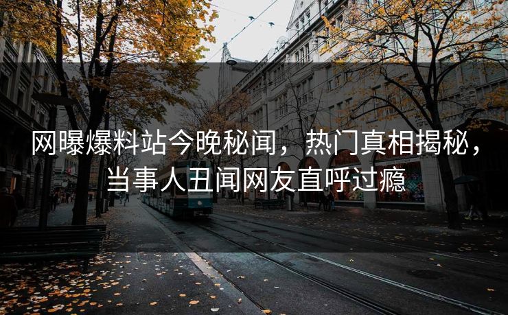 网曝爆料站今晚秘闻，热门真相揭秘，当事人丑闻网友直呼过瘾