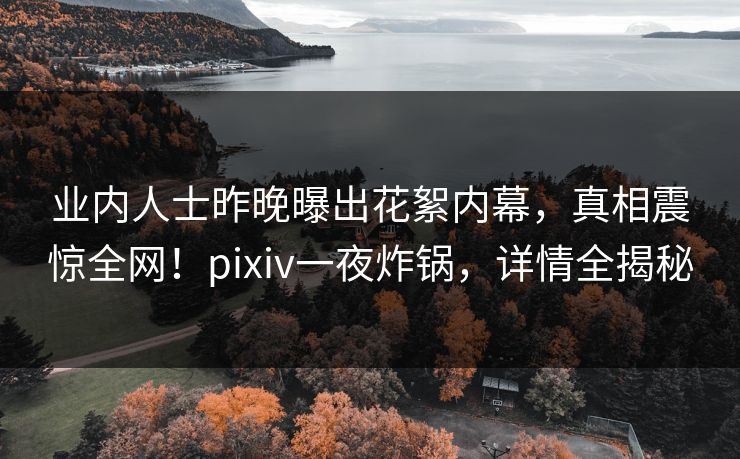 业内人士昨晚曝出花絮内幕，真相震惊全网！pixiv一夜炸锅，详情全揭秘  第1张